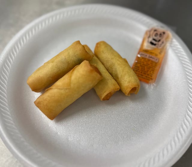 Vegetable Spring Rolls (4).